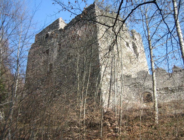 Alt Aspermont Castle, Switzerland, Switzerland